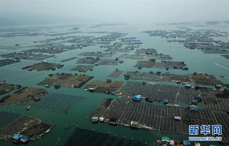 福建霞浦：小海参 大产业-济南演出策划公司