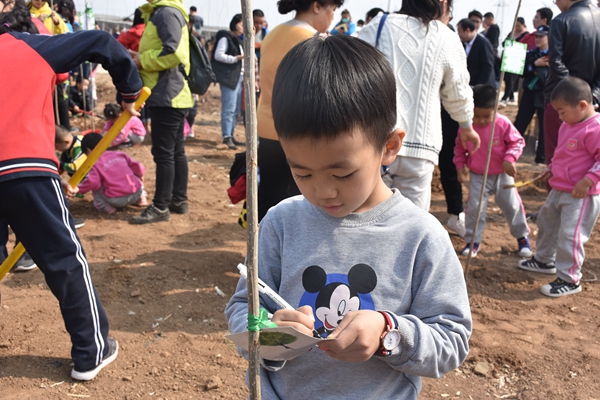 03 来自山师幼儿园的尚官正小朋友在心愿卡上画下一棵小树。